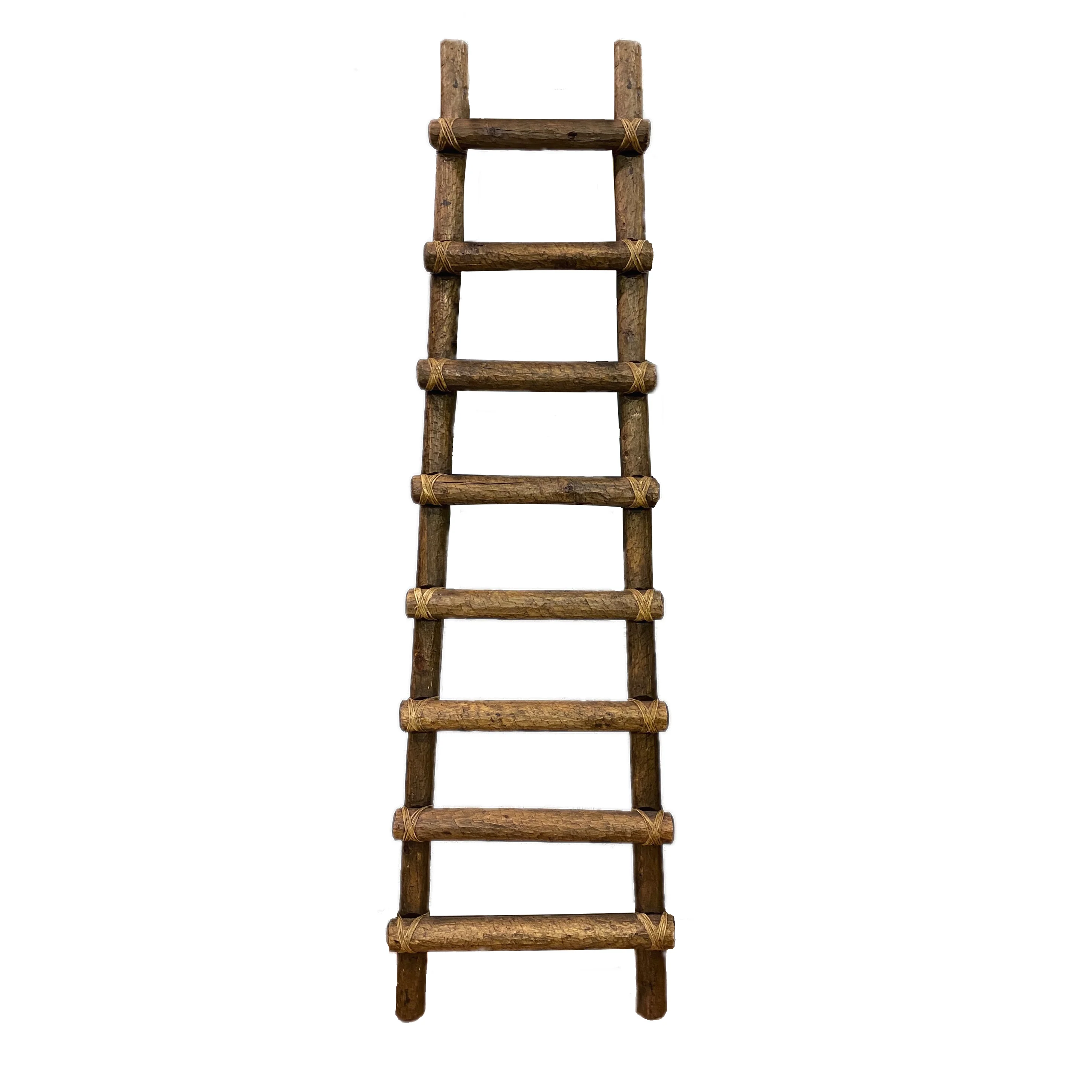 Primitive Ladders
