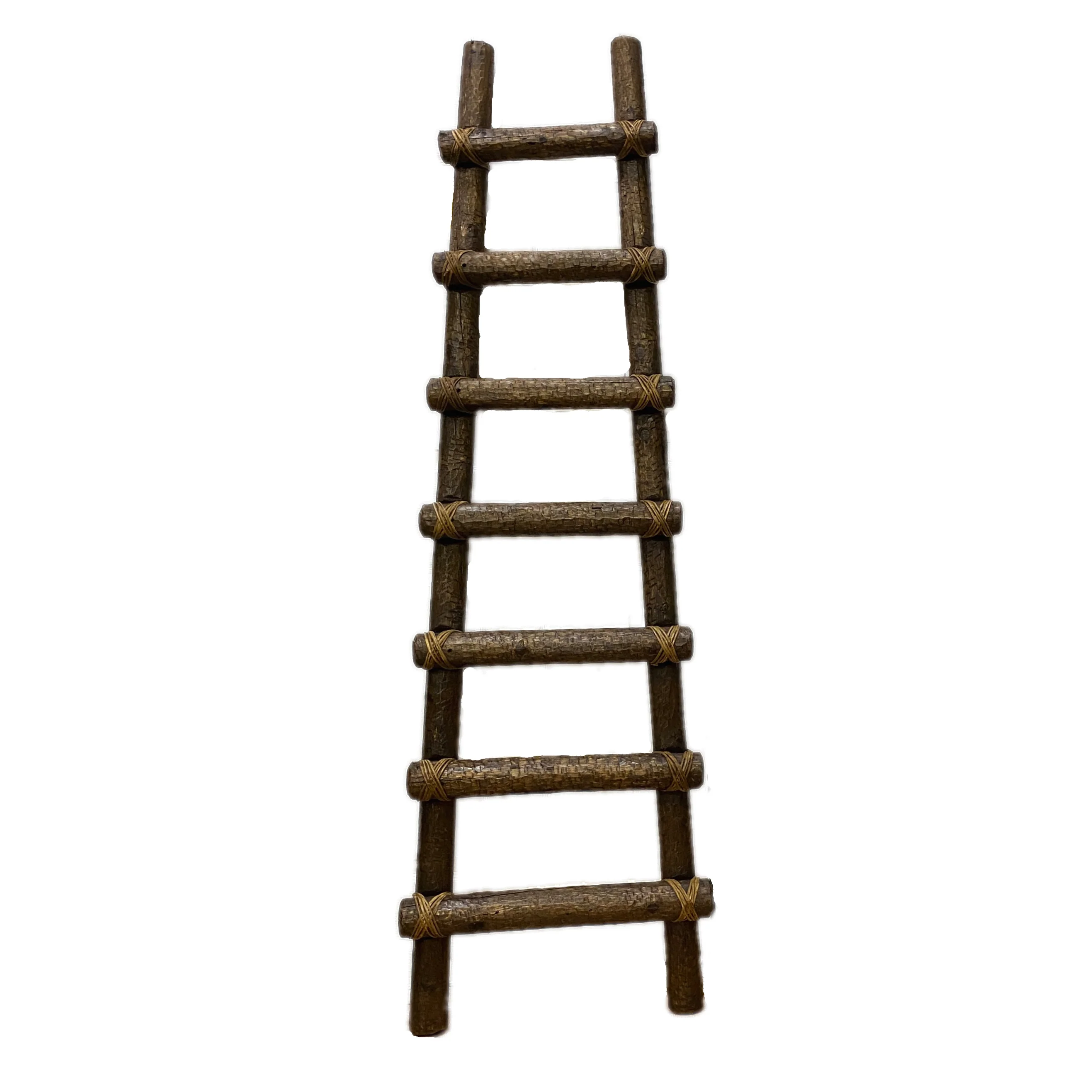 Primitive Ladders - Image 2